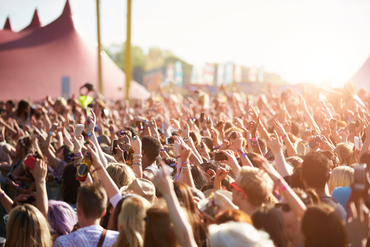 Audience with their hands in the air at an outdoor music festival